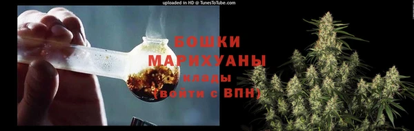 PSILOCYBIN Няндома