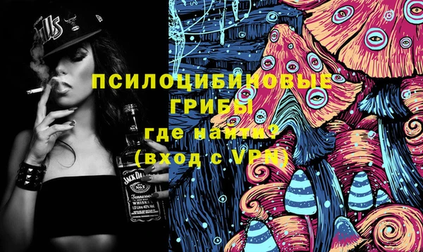 PSILOCYBIN Няндома