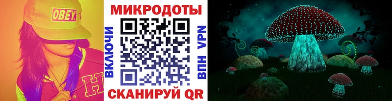 Галлюциногенные грибы GOLDEN TEACHER  где можно купить наркотик  Шацк 